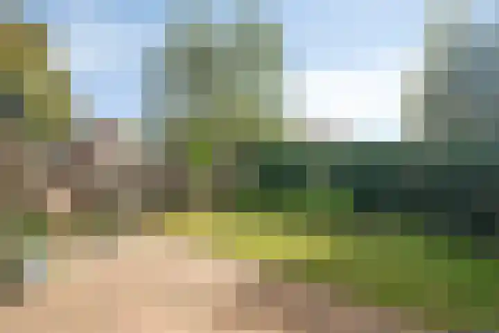 Parallelweg 95 Nunspeet thumbnail 37
