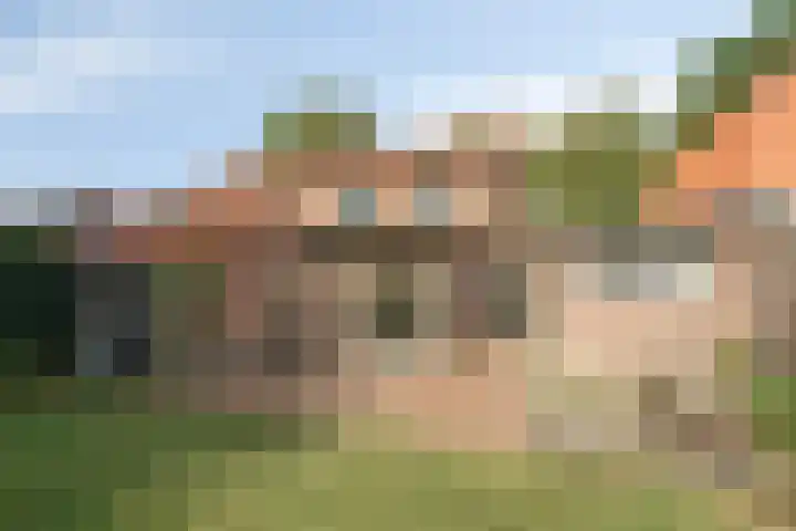 Parallelweg 95 Nunspeet thumbnail 38