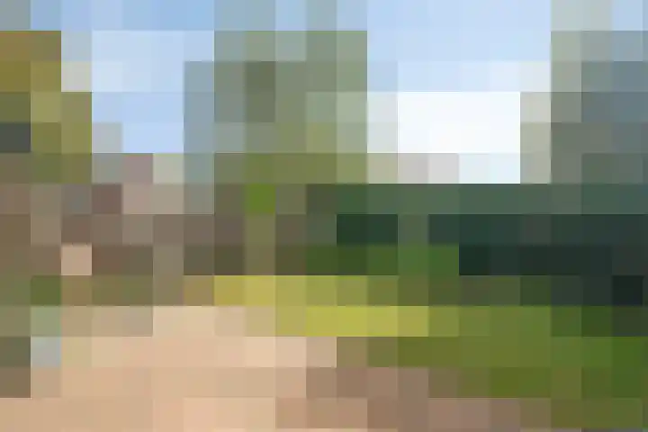 Parallelweg 95 Nunspeet thumbnail 4