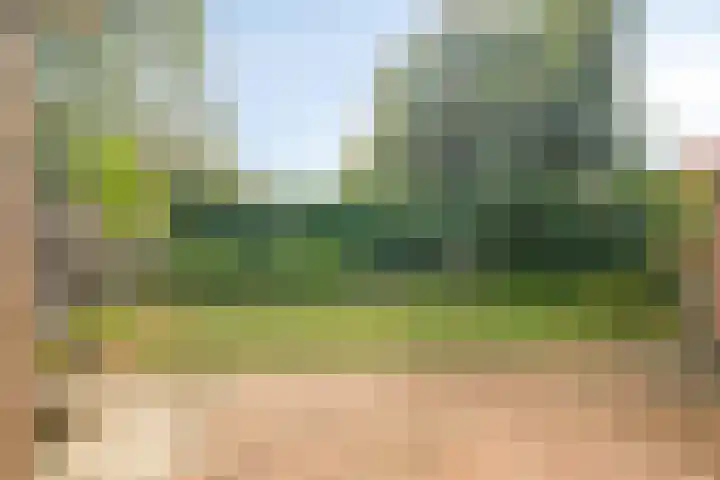 Parallelweg 95 Nunspeet thumbnail 41