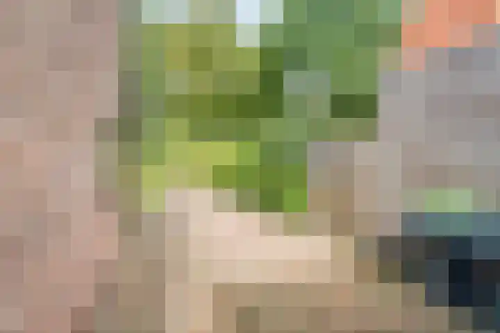 Parallelweg 95 Nunspeet thumbnail 44