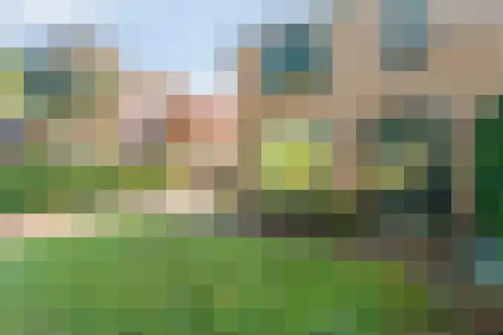 Parallelweg 95 Nunspeet thumbnail 5