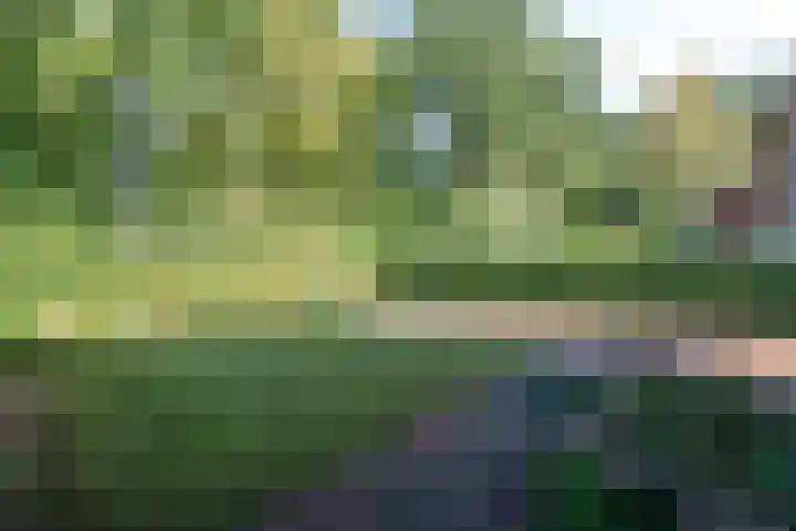 Parallelweg 95 Nunspeet thumbnail 6
