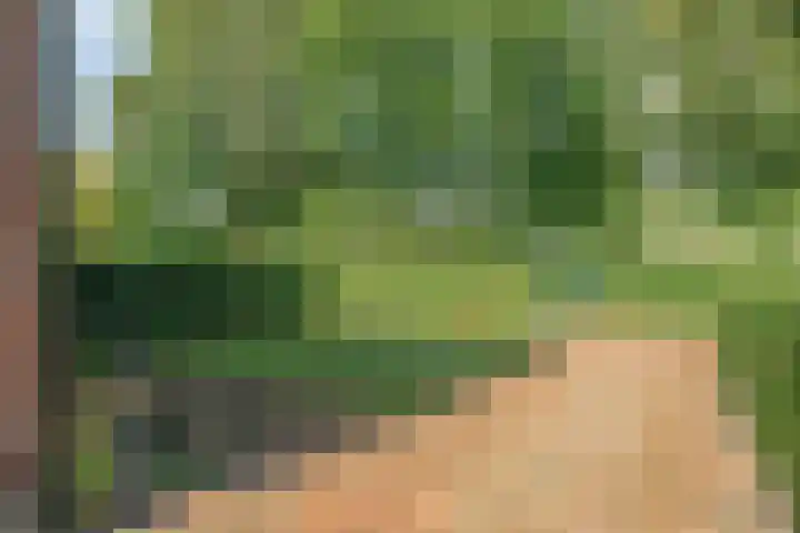 Parallelweg 95 Nunspeet thumbnail 7