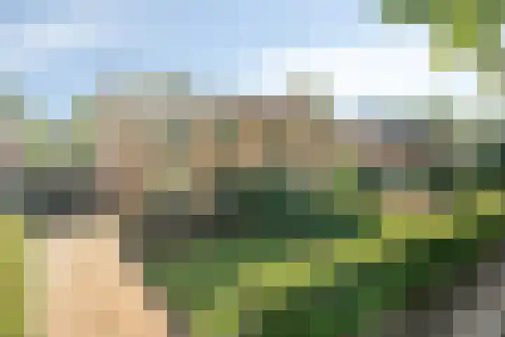 Parallelweg 95 Nunspeet thumbnail 9