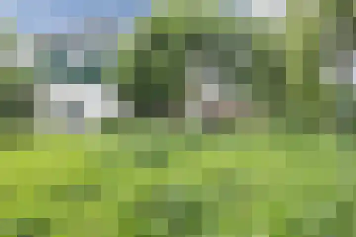 Parallelweg 96 De Krim thumbnail 58
