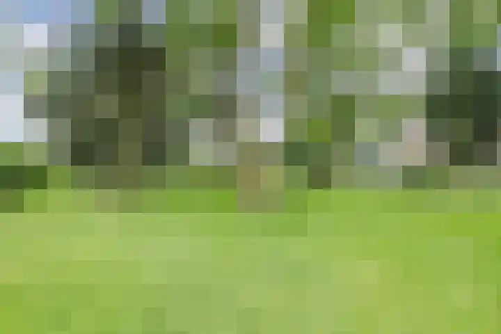 Parallelweg 96 De Krim thumbnail 59