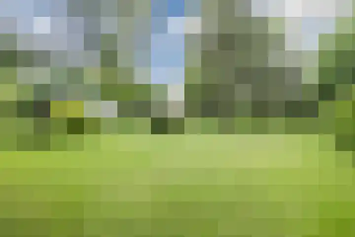 Parallelweg 96 De Krim thumbnail 60