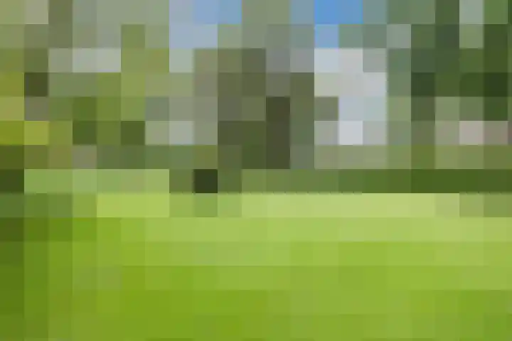Parallelweg 96 De Krim thumbnail 61