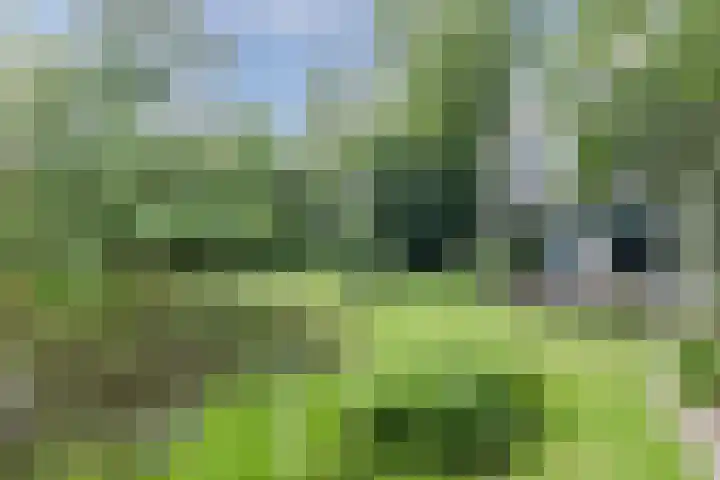 Parallelweg 96 De Krim thumbnail 62