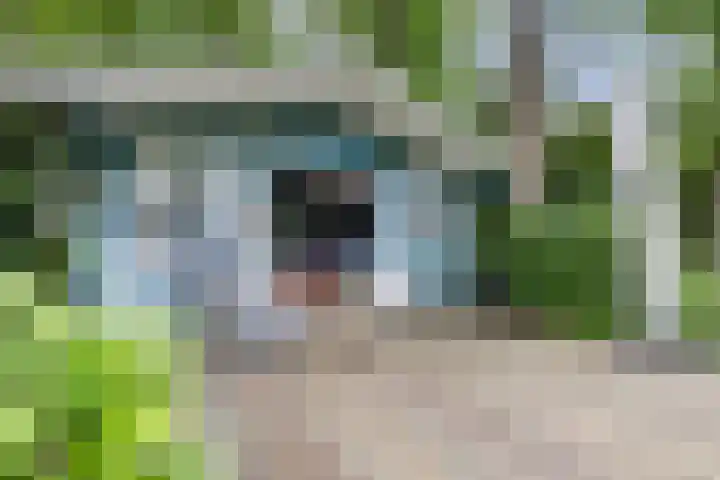 Parallelweg 96 De Krim thumbnail 63