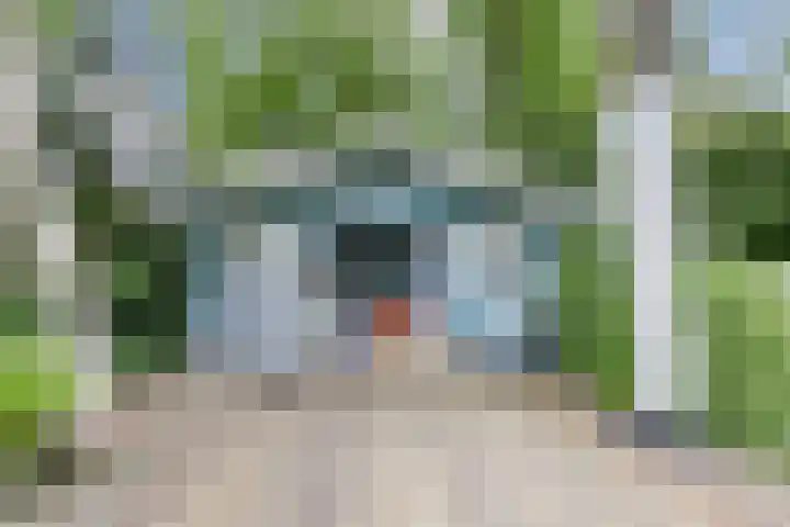 Parallelweg 96 De Krim thumbnail 65