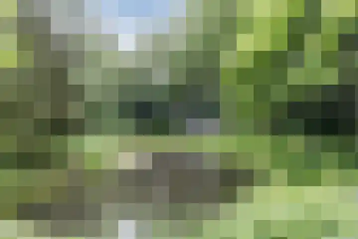 Parallelweg 96 De Krim thumbnail 67