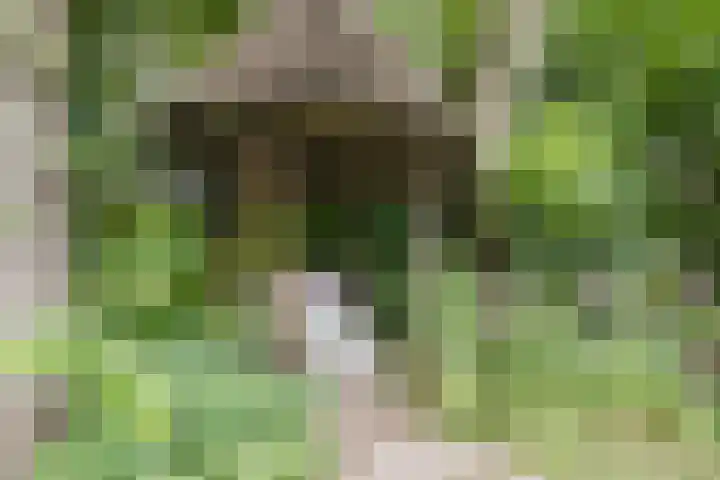 Parallelweg 96 De Krim thumbnail 68