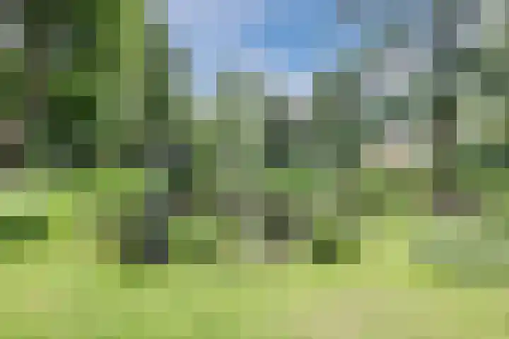 Parallelweg 96 De Krim thumbnail 69