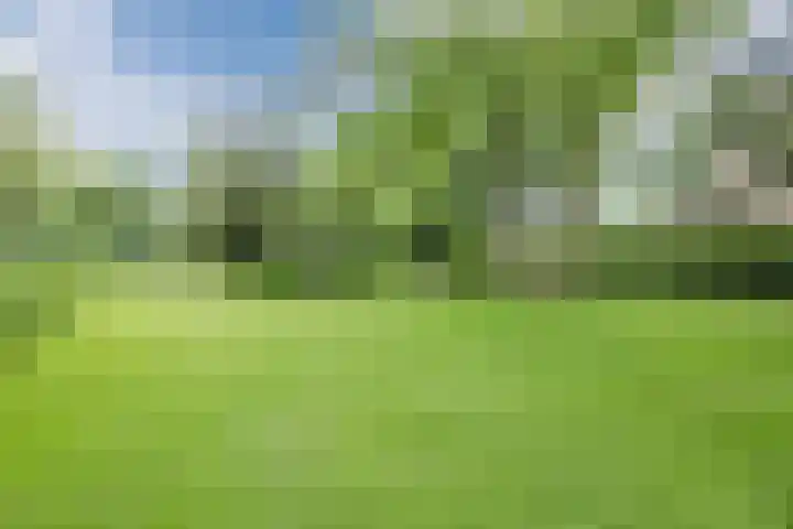 Parallelweg 96 De Krim thumbnail 70