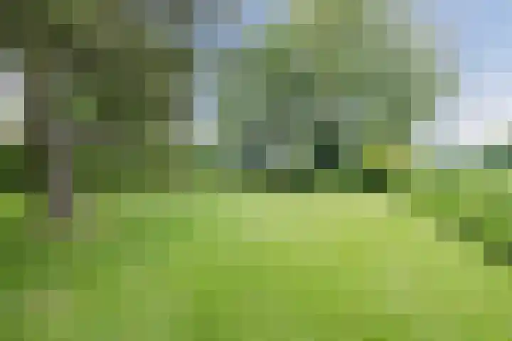 Parallelweg 96 De Krim thumbnail 71