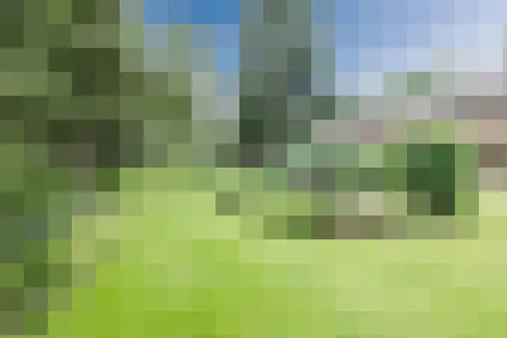 Parallelweg 96 De Krim thumbnail 73