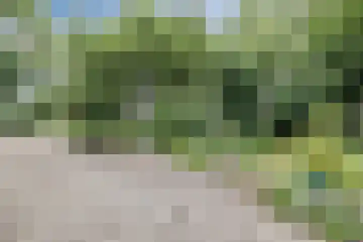 Parallelweg 96 De Krim thumbnail 74