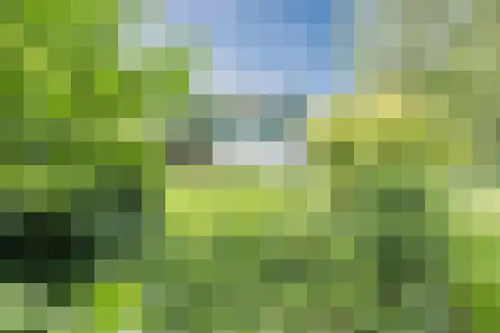 Parallelweg 96 De Krim thumbnail 78