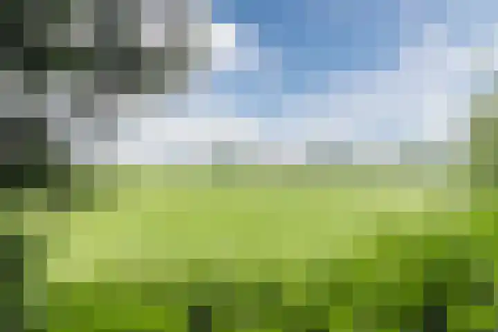 Parallelweg 96 De Krim thumbnail 79