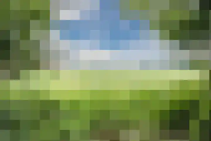 Parallelweg 96 De Krim thumbnail 80