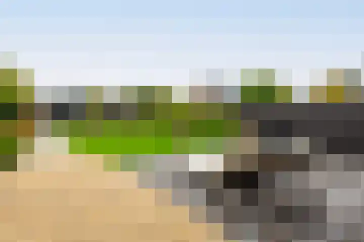 Parallelweg 97 Hardinxveld-Giessendam thumbnail 31