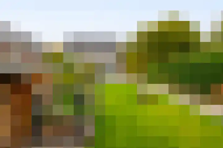 Parallelweg 97 Hardinxveld-Giessendam thumbnail 33