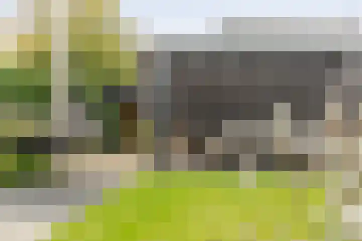 Parallelweg 97 Hardinxveld-Giessendam thumbnail 36