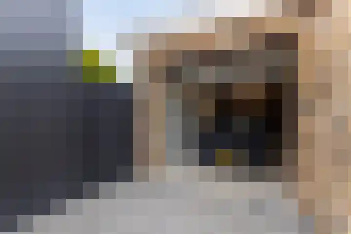 Parallelweg 97 Hardinxveld-Giessendam thumbnail 37
