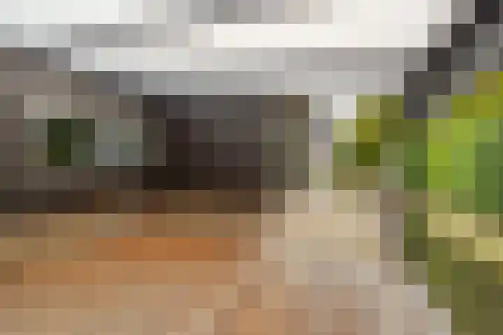 Parallelweg 97 Hardinxveld-Giessendam thumbnail 39