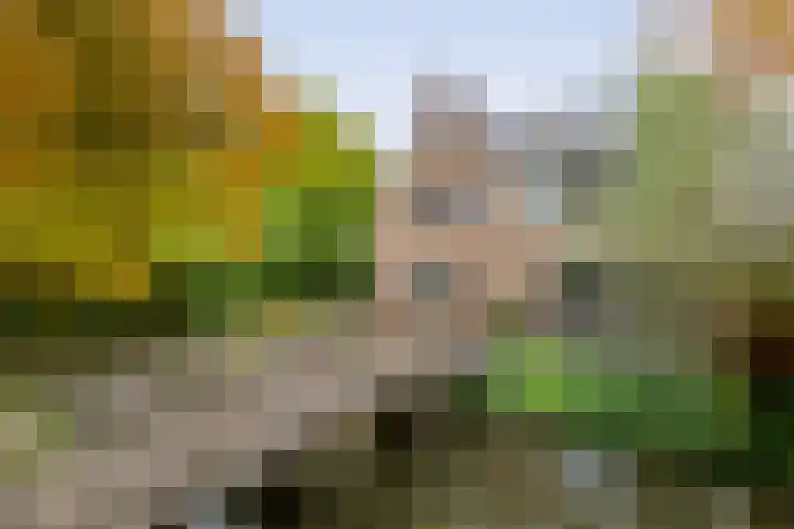 Parallelweg 97 Hardinxveld-Giessendam thumbnail 44