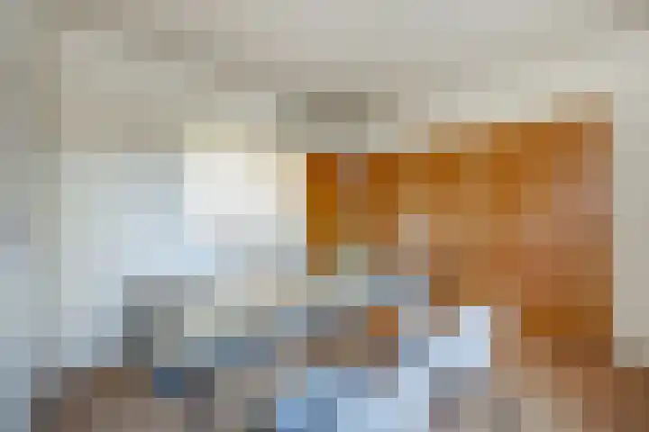 Parallelweg LS 20 Hengelo thumbnail 11