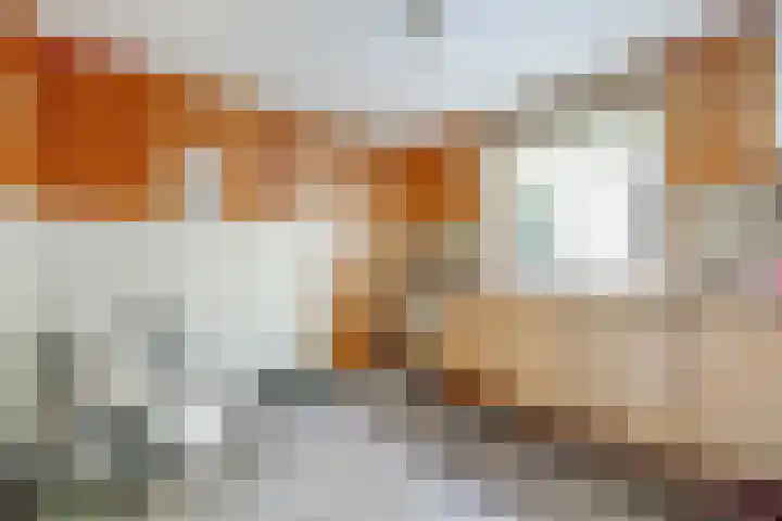 Parallelweg LS 20 Hengelo thumbnail 12