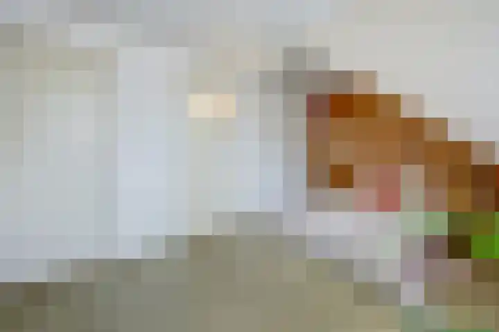Parallelweg LS 20 Hengelo thumbnail 25