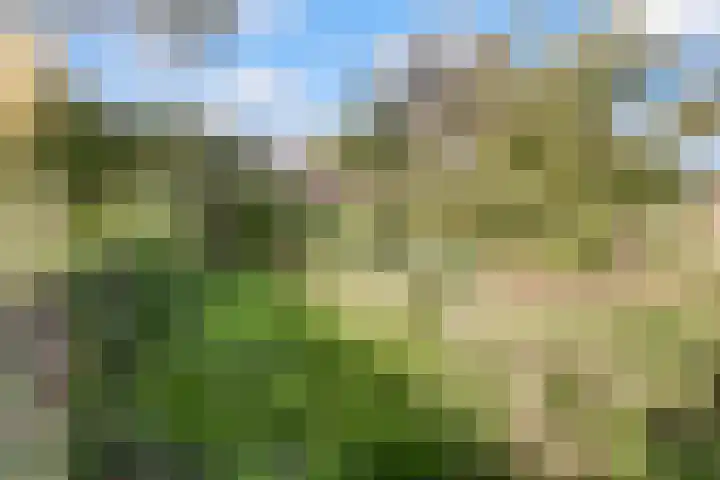 Parallelweg LS 20 Hengelo thumbnail 32