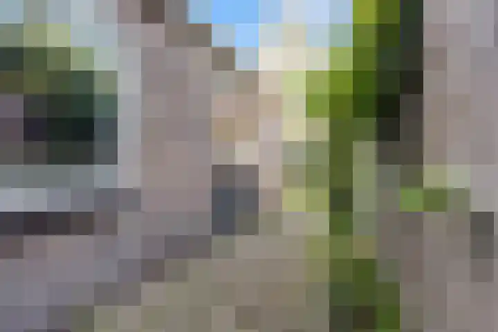 Parallelweg LS 20 Hengelo thumbnail 33