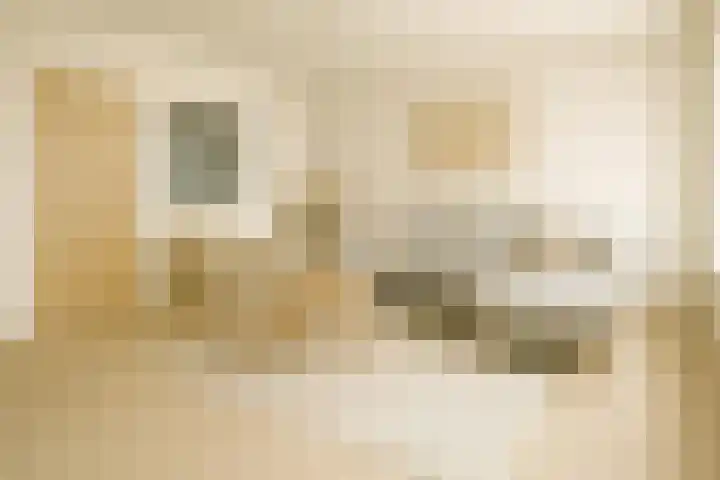 Parallelweg LS 20 Hengelo thumbnail 9