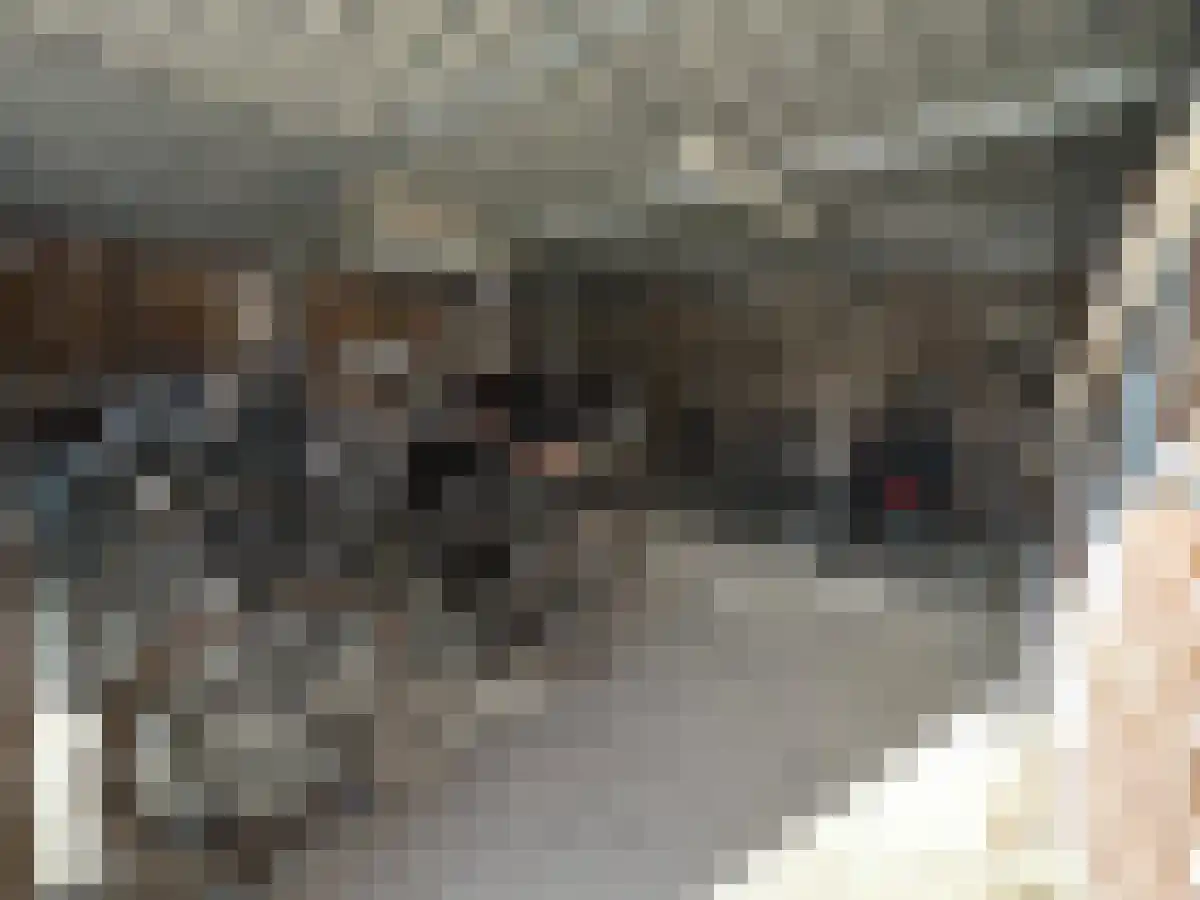 Parallelweg Maastricht thumbnail 5
