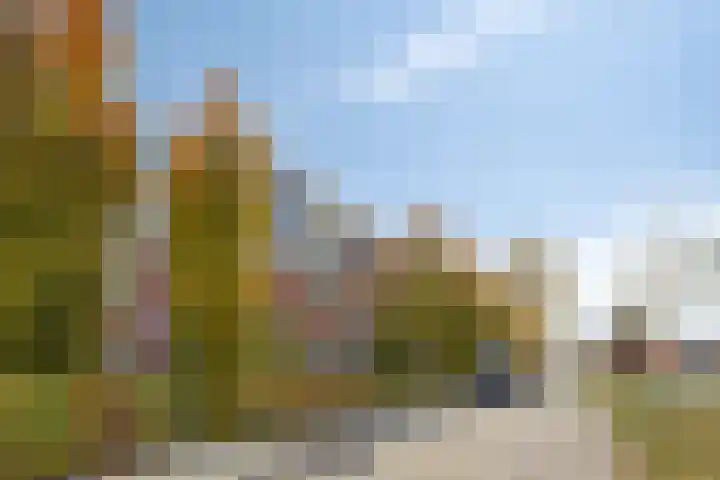 Parallelweg Oost 1 L Valkenswaard thumbnail 5