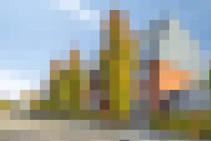 Parallelweg Oost 1 L Valkenswaard thumbnail 7