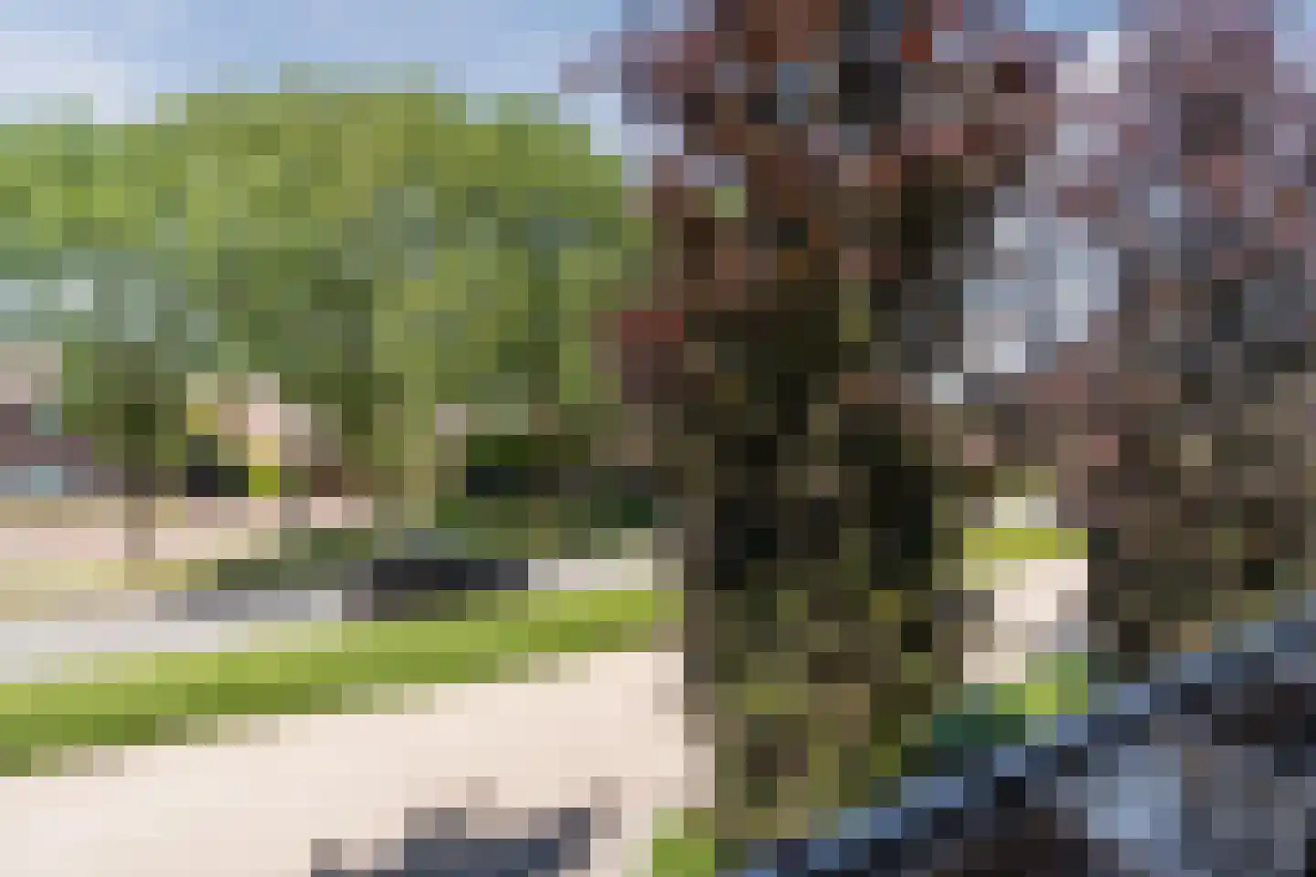 Parallelweg Oost 3 C Valkenswaard thumbnail 17