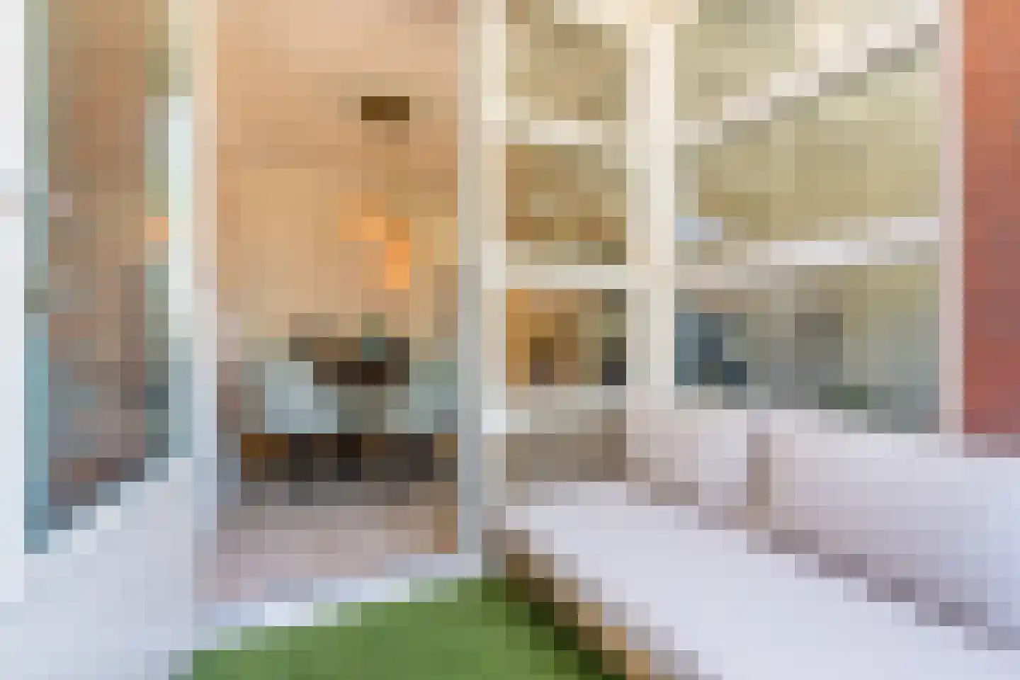 Parallelweg Oost 3 C Valkenswaard thumbnail 18