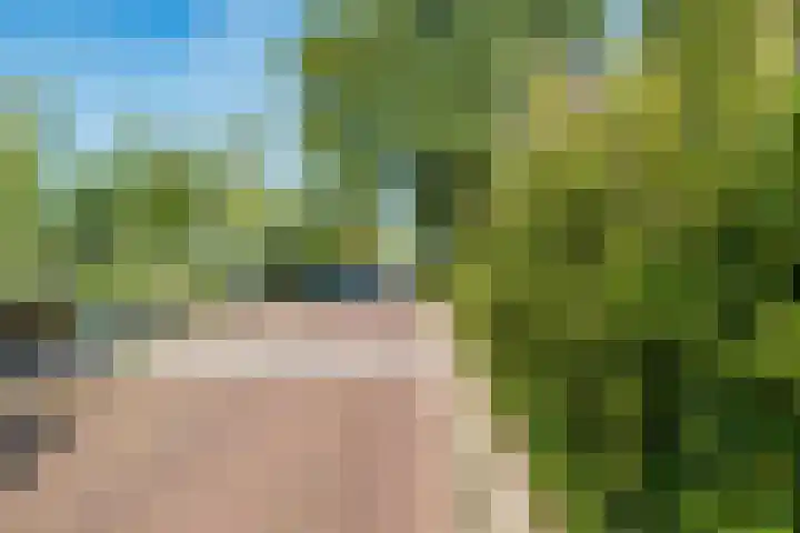 Parallelweg SS 98 Hengelo thumbnail 34