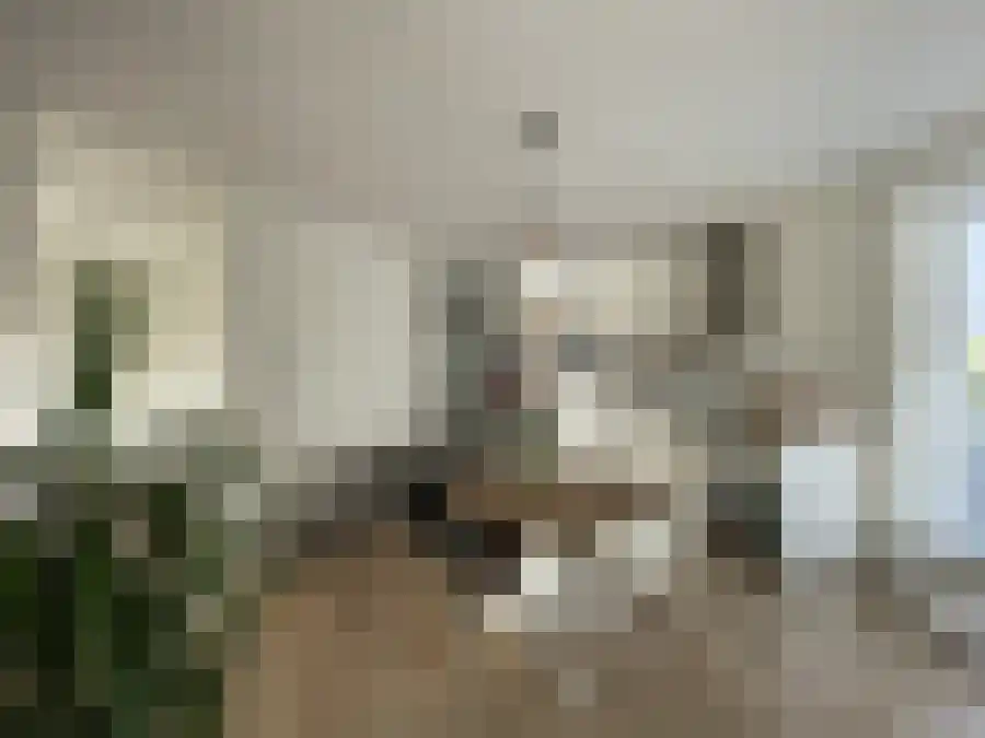 Parallelweg Veenendaal thumbnail 6