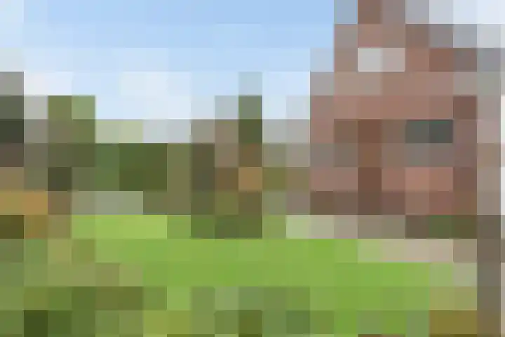 Parallelweg-Zuid 115 Nieuwerkerk aan den IJssel thumbnail 32