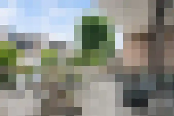 Parallelweg-Zuid 151 Nieuwerkerk aan den IJssel thumbnail 30