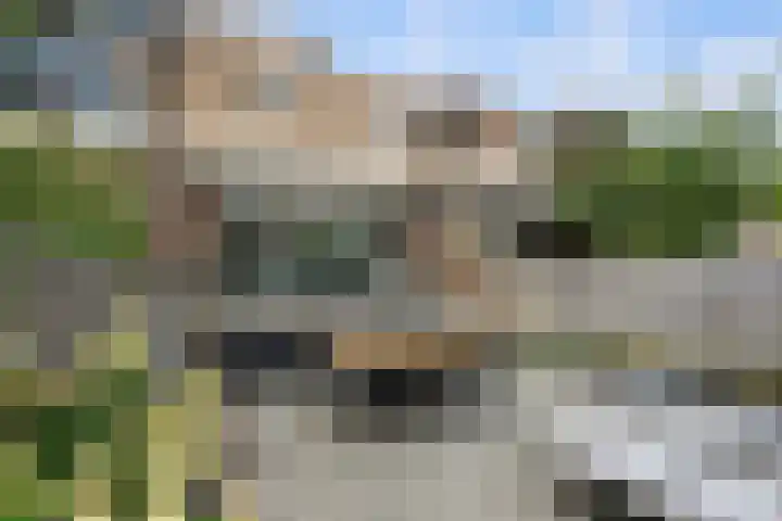 Parallelweg-Zuid 151 Nieuwerkerk aan den IJssel thumbnail 33