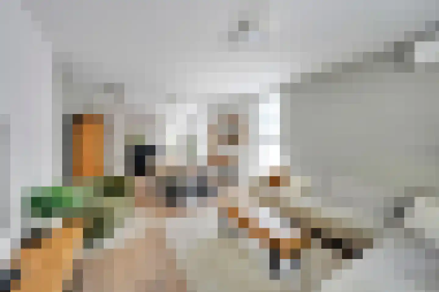 Parallelweg-Zuid 47 Nieuwerkerk aan den IJssel thumbnail 12