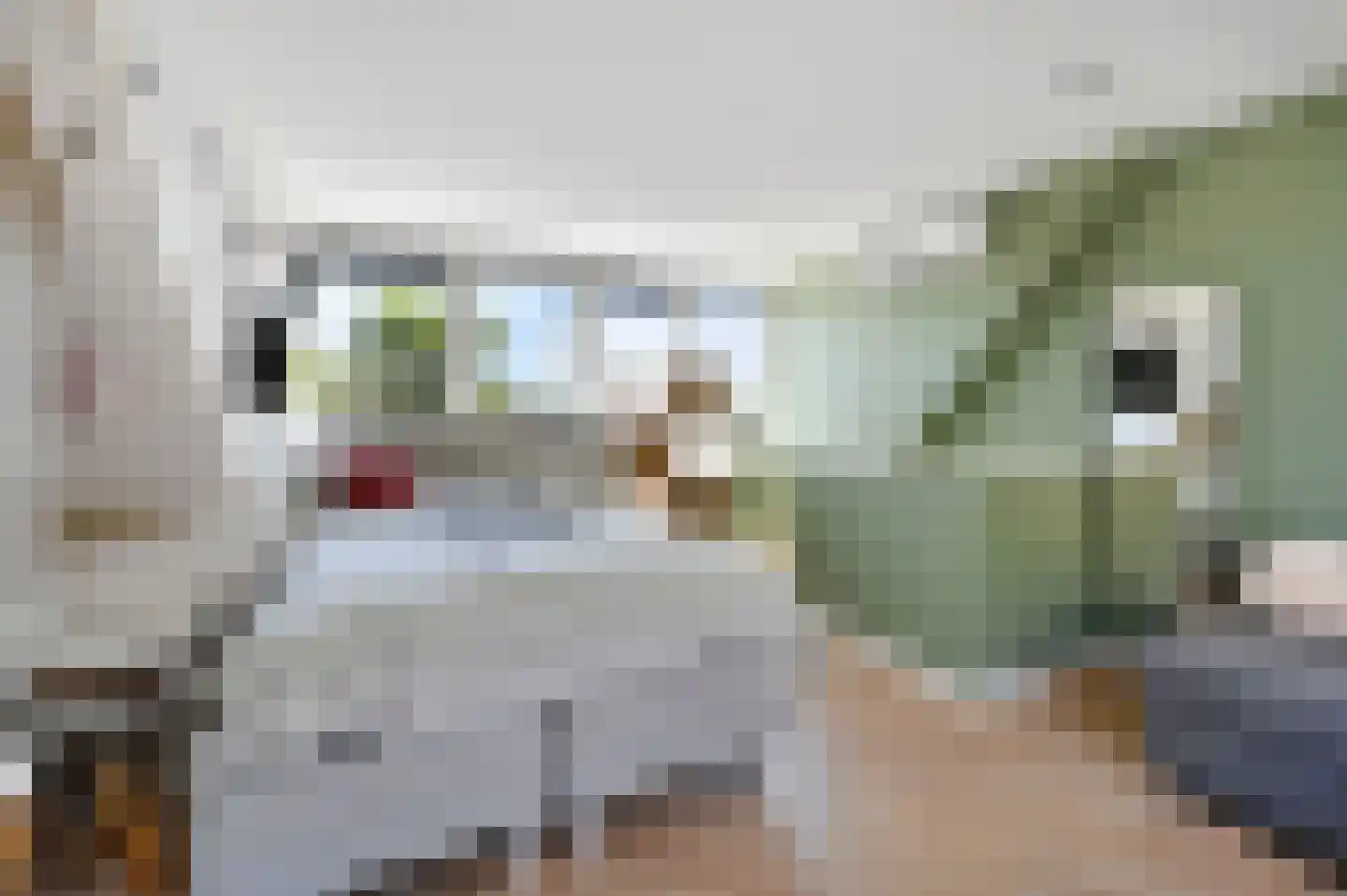 Parallelweg-Zuid 47 Nieuwerkerk aan den IJssel thumbnail 40
